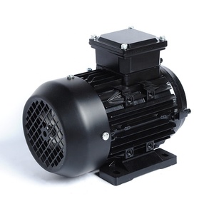 Motores de Inducción Asíncronos Trifásicos Pequeños de la Serie IE1, 380V, 0.5hp, 370W, 2 Polos - Product Image 2