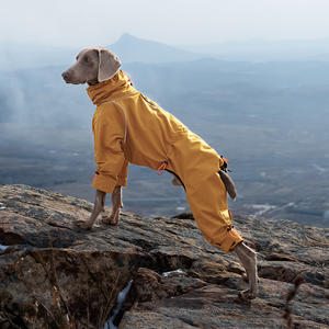 Chaqueta para perros sólida y elegante al por mayor, chubasquero para mascotas de poliéster de lujo para galgos, resistente al viento y al agua para invierno y exteriores - Product Image 5