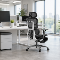 Chaise de bureau exécutive à dossier haut en maille, chaise pivotante ergonomique pour ordinateur, adaptée aux espaces de travail professionnels