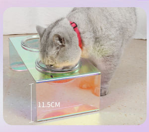 Neues Design Rainbow Pet Esstisch Clear High Boro silicate Heat proof Glass Bowl Stand Feeder für Katze und Hund - Product Image 2