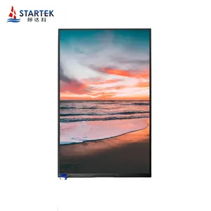 Startek Top Selling High Resolution And High Brightness MIPI Interface 1200*1920 Dots 10.1 Inch Touch Display