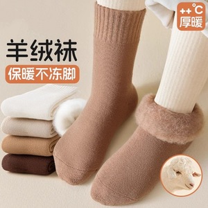 Thickened Mid-Calf Terry <b>Socks</b> For Toddlers Warm Fleece Lined Autumn Winter Wear - Product Image 2