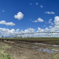 ARBRE DE TRANSMISSION 7/8\" 59-14\" pour système d'irrigation à pivot central