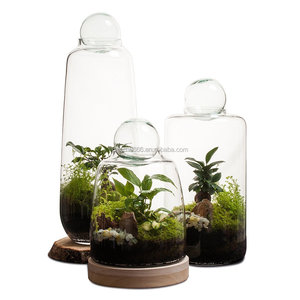 Soho Terrarium <span class=keywords><strong>bouteille</strong></span> hydroponique plante vases fait à la main haute Borosilicate Terrarium <span class=keywords><strong>bouteille</strong></span> <span class=keywords><strong>en</strong></span> <span class=keywords><strong>verre</strong></span> pour plante <span class=keywords><strong>vase</strong></span> <span class=keywords><strong>en</strong></span> <span class=keywords><strong>verre</strong></span> - Product Image 2