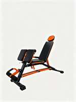 Banc de musculation multifonctionnel Wellshow pour un entraînement complet du corps, incluant des extensions dorsales, des positions inclinées, déclinées et plates