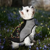 Premium Luxus Polyester Verstellbarer Sommer-Kühlmantel Atmungsaktives Mesh Leichtgewichtig Waschbar Bunter LED-Hundemantel für Weihnachten