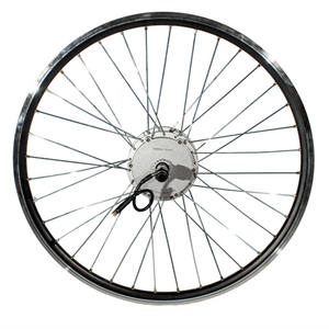 Bigpro — <span class=keywords><strong>moteur</strong></span> sans balais à engrenages <span class=keywords><strong>pour</strong></span> vélo électrique, <span class=keywords><strong>moteur</strong></span> intégré dans le moyeu de frein, roue arrière, standard européen 36v, 250w, 350w - Product Image 2