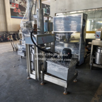 Machine de pressage et de filtration de fruits en acier inoxydable 50L pour jus de noix de coco et équipement de pressage de yaourt à froid