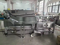 Machine automatique de comptage de tri de sachet de bâton pour la machine de carton
