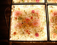 Plate-forme de scène en verre pour mariage intérieur extérieur Led Transparent Plexiglas Belle scène en verre pour la décoration de fête de mariage