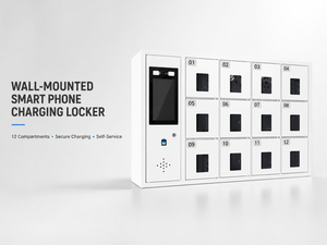 Fabricante Chino de Casilleros de Almacenamiento Inteligentes con Carga para Celulares, con Reconocimiento Facial y de Huellas Dactilares, Multi-Puerta, para Seguridad y Conservación - Product Image 2