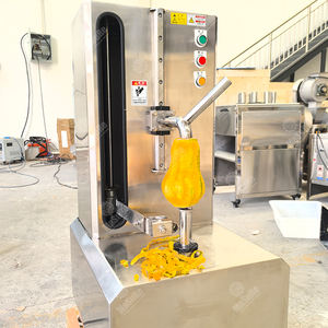 Автоматическая Овощечистка для тыквы, промышленная зимняя Овощечистка для дыни, подходит для всех видов фруктов - Product Image 4