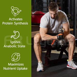 OEM ODM Ginseng estratto in polvere stimolare l'appetito aumentare la massa corporea integratore di Ginseng a base di erbe - Product Image 4