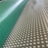 LUKE Panneau de drainage HDPE anti-pression pour les projets de construction routière