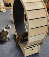 Direktverkauf ab Werk Luxuriöses Umweltfreundliches Katzen-Laufrad Intelligentes Geräuscharmes Katzen-Laufband