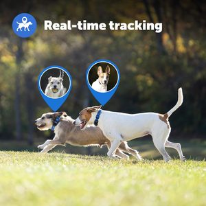 ปลอกคอสุนัข PetSafe Guardian GPS พร้อมระบบติดตามแบบเรียลไทม์ ไร้สาย สีฟ้า ทำจากไนลอนและพลาสติก รองรับบลูทูธ ใช้งานร่วมกับ iOS ได้ - Product Image 5