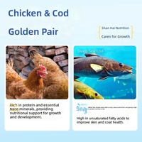 Nourriture pour chats Anruikun, formule à base de céréales soufflées, poulet et morue, riche en protéines, pour chats adultes et chatons, livraison immédiate