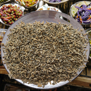 Prix de vente directe d'usine Petites libellules 100% naturelles séchées au soleil Nourriture pour tortues et poissons pour animaux de compagnie Santé de la peau et du pelage - Product Image 5