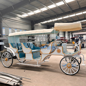 Produttori di prezzi all'ingrosso carrozza turistica reale turismo turismo carrello elettrico trasporto speciale per la vendita - Product Image 5