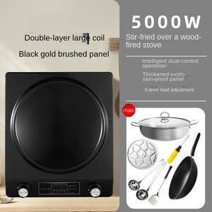 Table de cuisson à induction double brûleur CE CB de haute qualité 500W portable avec surface en fonte 24 cm, classe d'efficacité énergétique, pour usage hôtelier - Product Image 5