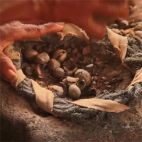 Huile de Batana Biologique du Honduras en Gros pour la Croissance des Cheveux, 100% Pure et Naturelle, Elaeis Oleifera Pressée à Froid, Fournisseur 1kg