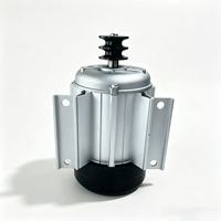 Moteur à poulie CC sans balais BLDC à couple élevé 500W 650W 800W 12V avec contrôleur et télécommande pour treuil et tracker solaire