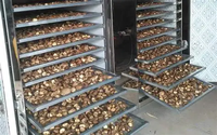 JIADA RVS Warmtepomp Noten- & Fruitdroger Groentedroger Vis- en Vleesdroger Energiebesparende Commerciële Voedsel- en Kruidendroger