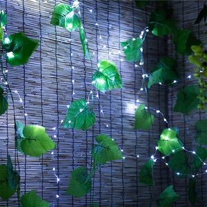 33FT Blanc Chaud Décor Intérieur Luciole USB 10m 100 LED Micro Fil de Cuivre Argenté Guirlande Lumineuse - Product Image 1