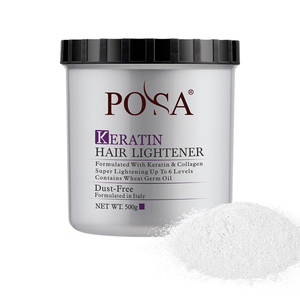 Thuốc Nhuộm Màu Tóc Chuyên Nghiệp OEM Bột Tẩy Trắng Không Bụi Cho Tóc Màu Xanh Trắng - Product Image 2