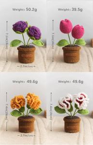 Meilleures ventes de Noël 2026 : Mini fleur d'œillet en crochet fait main mignonne avec pot pour la décoration de la maison - Product Image 6