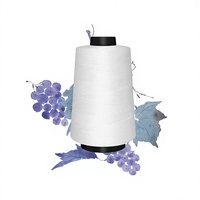 Fil à coudre ciré certifié Oeko-Tex, haute ténacité, faible rétrécissement, teint, écologique, 60/3 602 60 2 40/2 402 50/2, fournisseur chinois