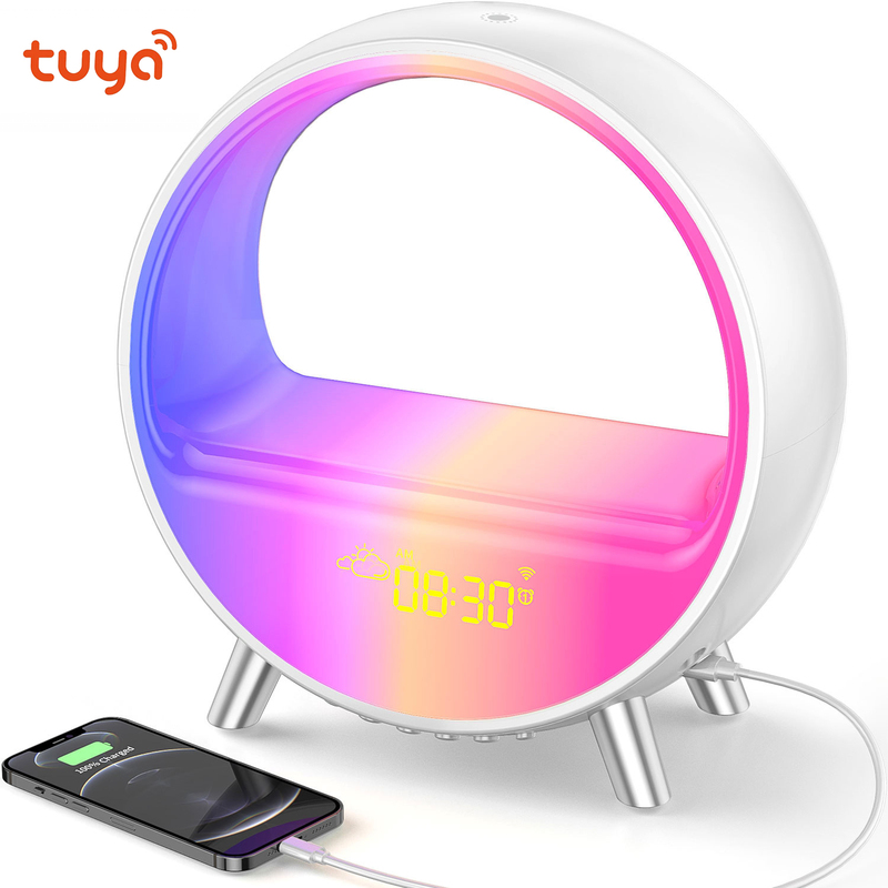 Smart RGB Floor Lamp APP Control