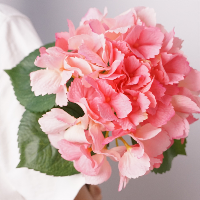 Toucher hydratant magique océan hortensia-rose profond