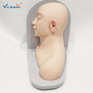 Modelo de Entrenamiento para Examen de Oído con 14 Membranas Timpanicas Patológicas para Recursos de Enseñanza de Otorrinolaringología, CE ISO ROHS, Directo de Fábrica - Product Image 4