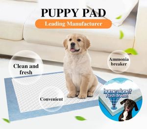 Pequeño Entrenador de Adiestramiento para Perros Desechable y Sostenible, Fabricado con Materiales de Fibra y Tela - Product Image 5