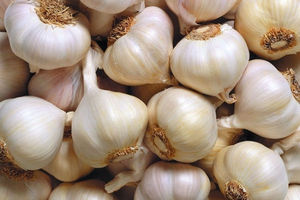 HONGDA EP Bột Allicin 1% 5% Thực Phẩm Tiêu Chuẩn Chiết Xuất Từ Tỏi - Product Image 2