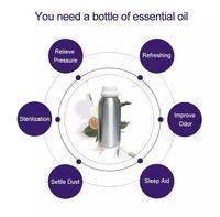 Chine Fournisseur Parfum Huile Parfum Humidificateur Huile Essentielle Diffuseur D'arôme