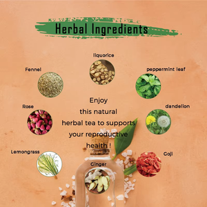 Té Desintoxicante OEM de 28 Días, Té Herbal para Limpiar el Colon y Perder Peso con Jengibre, Menta, Hinojo y Sabor a Frutas - Product Image 3