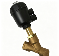 Vanne à siège incliné 2000A 15.0° 00001130 00001252 PTFE G1/2 Origine Allemagne Vanne de régulation de fluide pneumatique