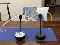 Ventilateur anti-mouches 2 en 1 avec lumière LED nocturne USB