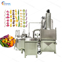 Machine à frire sous vide pour fruits et légumes, pommes, bananes, jackfruit, chips, 8 kg par lot, snacks, friteuse sous vide, fruits et légumes croustillants