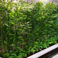 Künstlicher grüner Bambusbaum, UV-beständig, umweltfreundlich, langlebig, für Außenzaun-Dekoration, Pflanze mit Bambusblättern, Großhandel