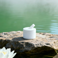 Capuchon de bec verseur de type canon, classique, estampé à chaud, en ABS, col de 28 mm |   Capuchon à vis anti-fuite pour flacons de cosmétiques et de soins de la peau de luxe