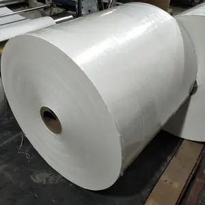 Qiang Qiang Paper China Factory Wholesale 100-300gsm Ivory White Bristol Paper Roll For Box