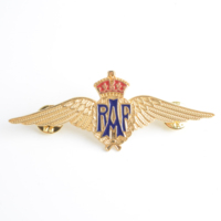 Broches de revers personnalisées en alliage de zinc 3D, style traditionnel et moderne, plaqué antique, emblème d'aile, cadeau souvenir de collection