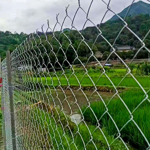 8ft Chuỗi liên kết hàng rào cho quốc phòng hộ gia đình loại màu đen Chuỗi liên kết hàng rào Net cho vườn lĩnh vực trang trại động vật - Product Image 5