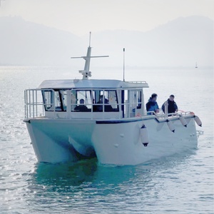 Bateau à moteur à double coque en aluminium entièrement soudé de 11 m (36 pieds) pour la pêche et les loisirs, type catamaran, avec passerelle latérale - Product Image 1