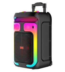 Haut-parleur karaoké 12 pouces ABS-12101 80W 6000Mah Trolly Party Haut-parleur extérieur Prix bon marché Grande puissance Haut-parleur - Product Image 1