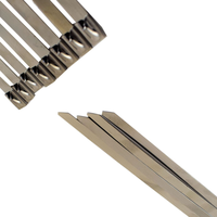 Attache de câble autobloquante détachable en acier inoxydable 316 8mm x 100mm