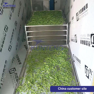 Séchoir à champignons Séchoir à haricots verts Séchoir à déshydratation Ligne de production de blanchiment et de séchage de légumes sauvages - Product Image 4